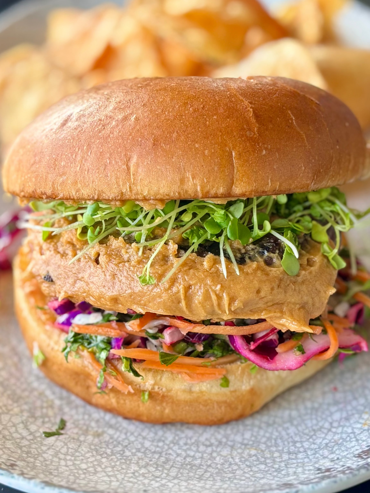 Zesty mustard fresh microgreens on a burger from Noble Planter.