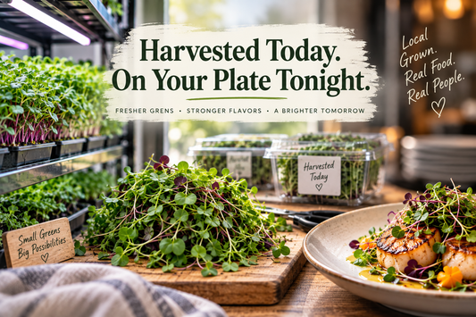 Harvested Today. On Your Plate Tonight.