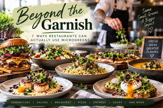 Different ways for chefs and the general public to use microgreens from Noble Planter Blog