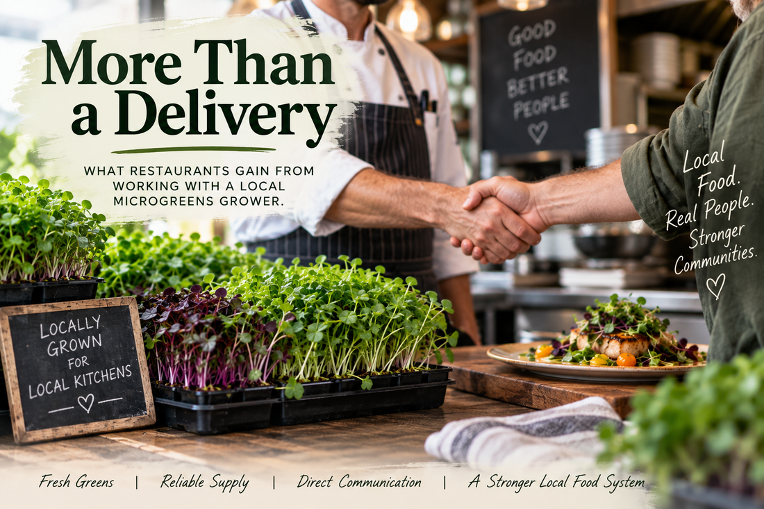 What restaurants gain from ordering microgreens from Noble Planter blog.