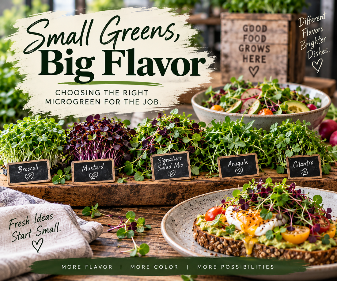 Picture of samples of microgreens representing a "Small Greens, Big Flavor" blog from Noble Planter.