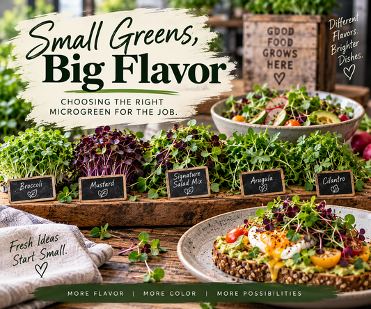Picture of samples of microgreens representing a "Small Greens, Big Flavor" blog from Noble Planter.