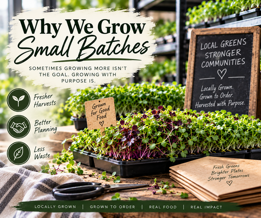 Focal Point for a Blog called " Why We Grow Small Batches at Noble Planter" by Noble Planter