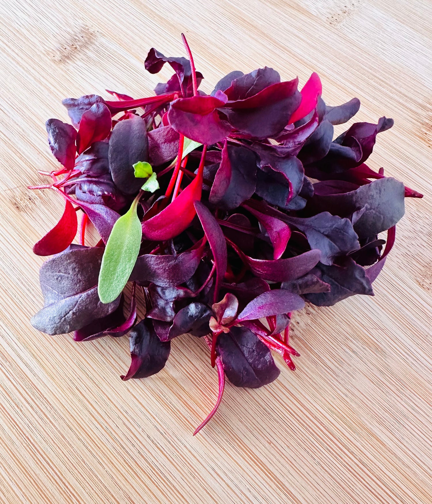 Bulls blood beet microgreens on a cutting board from Noble Planter.