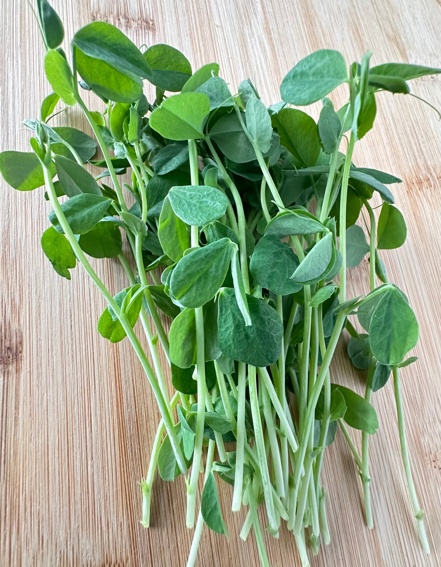 Pea shoots fresh microgreens on a cutting board from Noble Planter.
