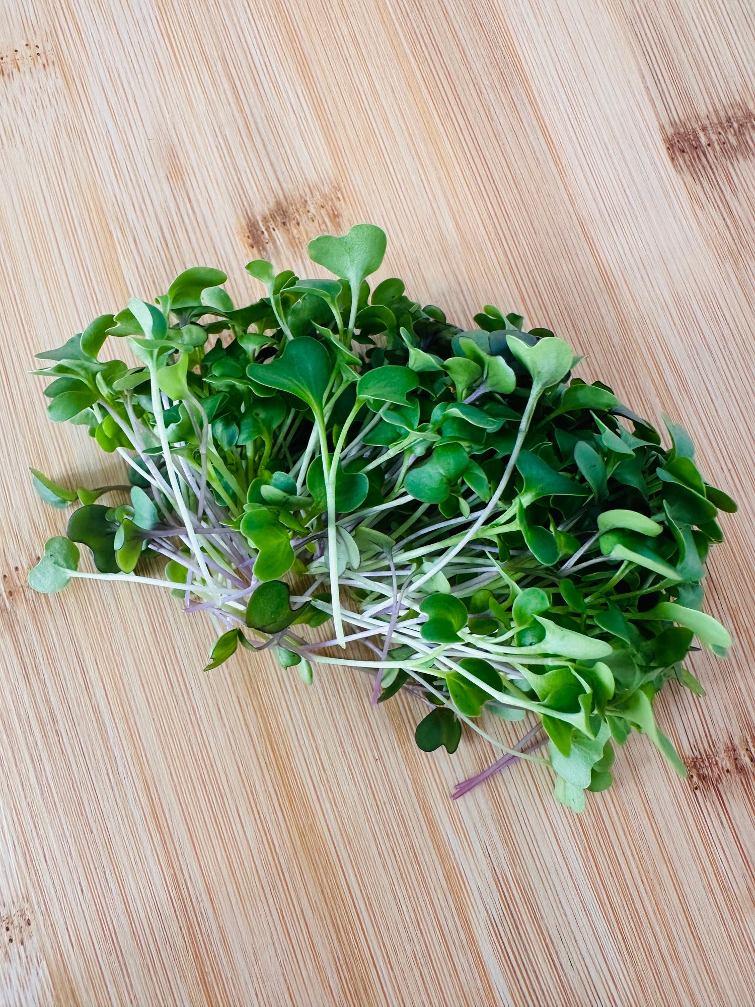 Fresh signature salad mixed microgreens on a wooden cutting board from Noble Planter.