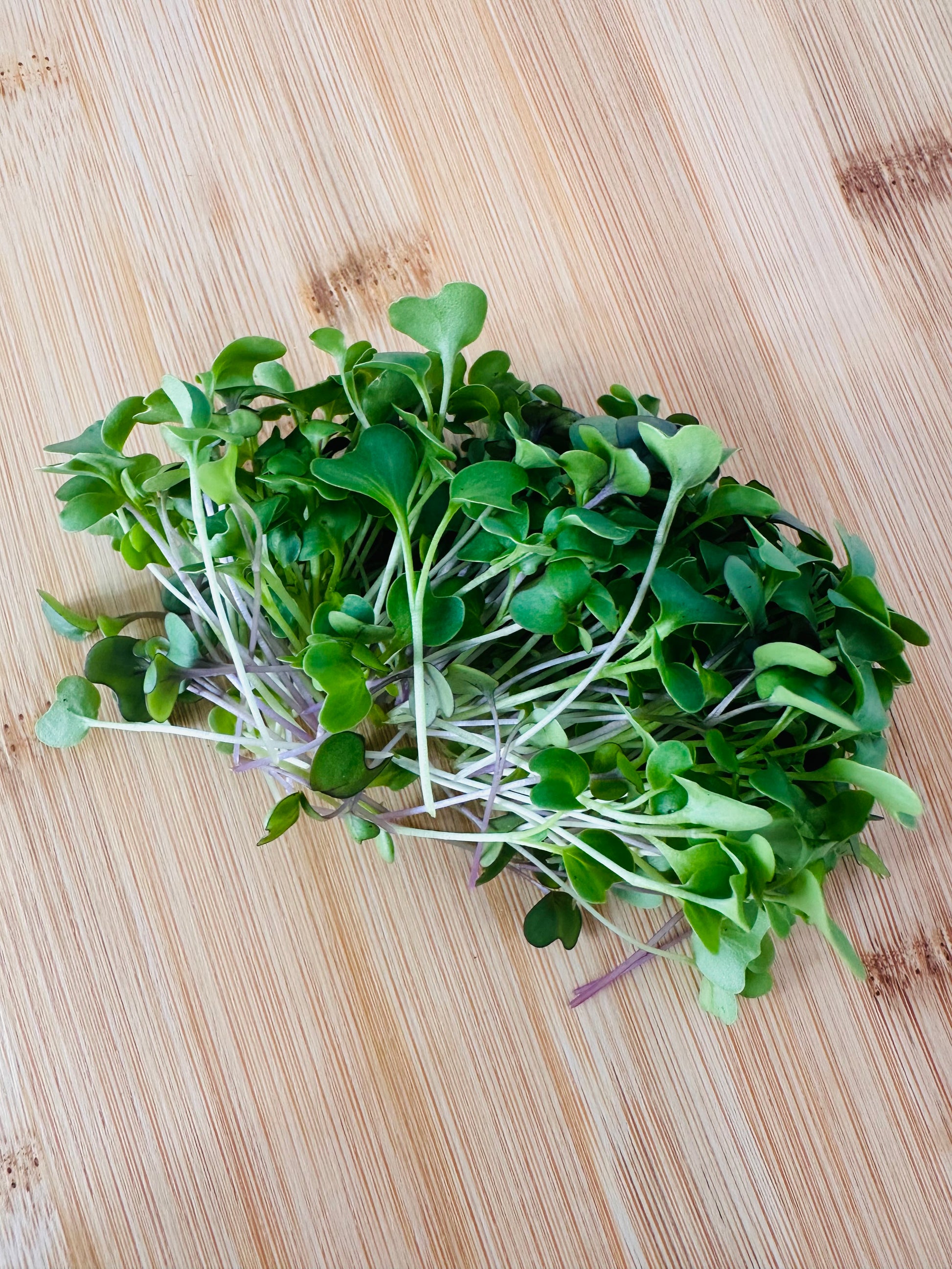 Fresh signature salad mixed microgreens on a wooden cutting board from Noble Planter.